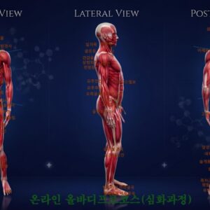 올바디프로코스(심화과정)